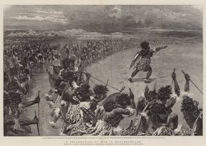 Uma declaração de guerra em Matabeleland